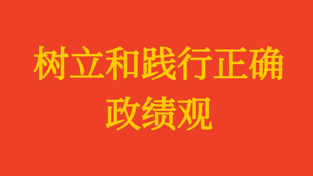 實干擔(dān)當(dāng) 為民造?！?xí)近平總書記引領(lǐng)全黨樹立和踐行正確政績觀